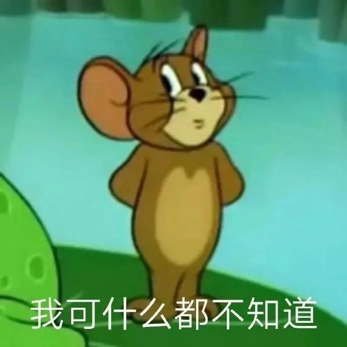 表情包我可什么都不知道