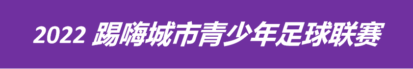 合肥市哪里有看足球比赛的地方(2022踢嗨城市（合肥赛区）青少年足球联赛本周末正式拉开帷幕)