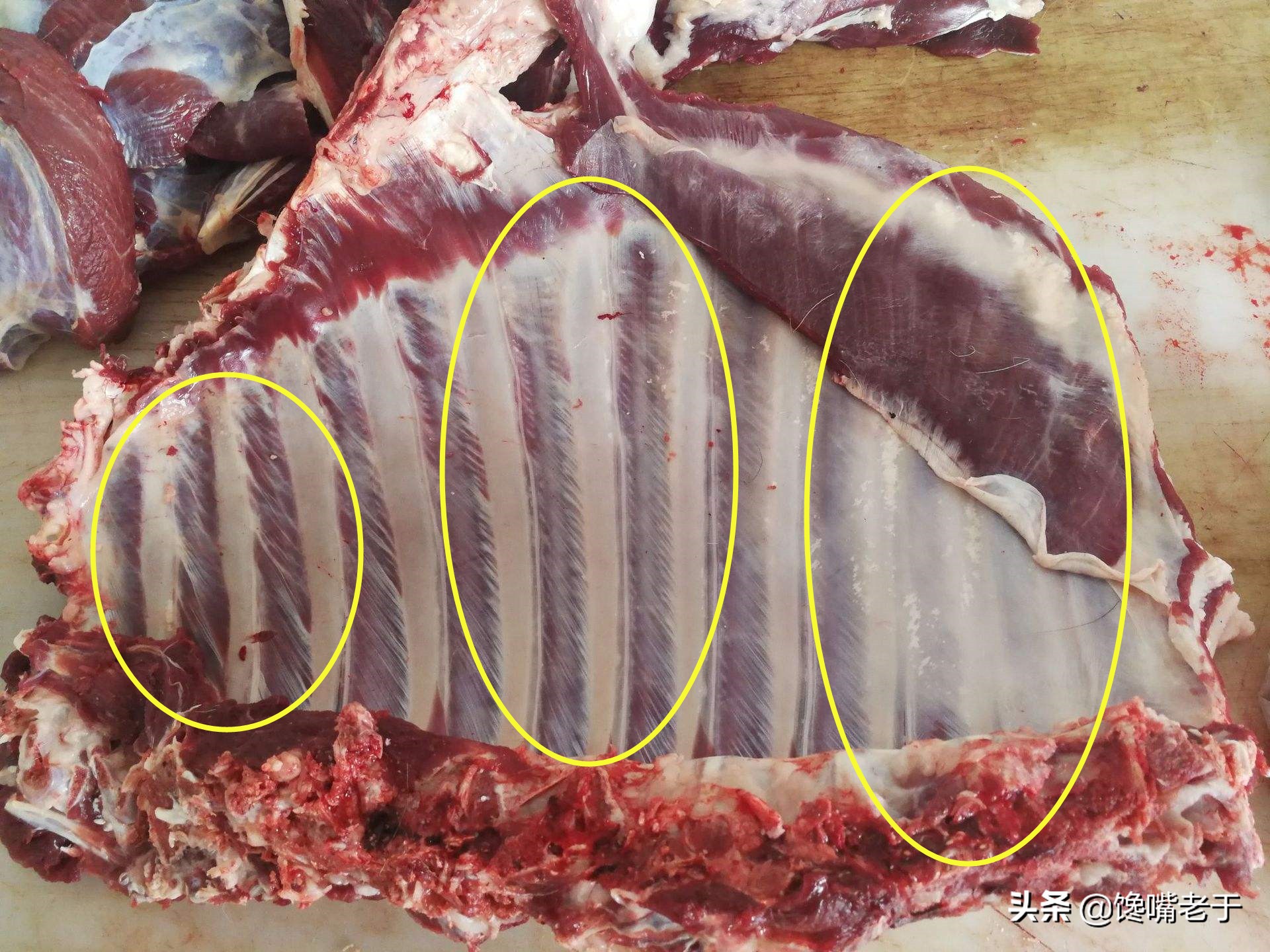 小排骨头大,肉量小,且骨头偏扁形,长得比较短;肉