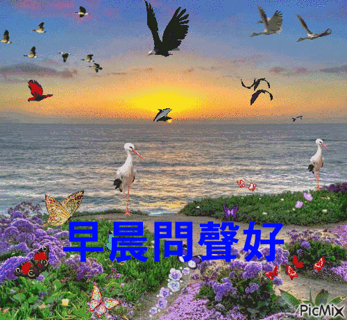 最新早上好微信暖心问候语录句子，祝朋友快乐幸福，明天更美好图片
