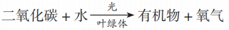 最新2023中考生物知識(shí)點(diǎn)整理