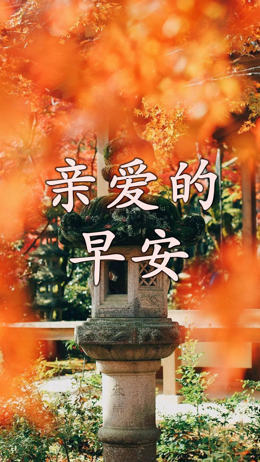 早上好，每日问候，天天没烦恼，人生有缘长相思，快乐在心间图片