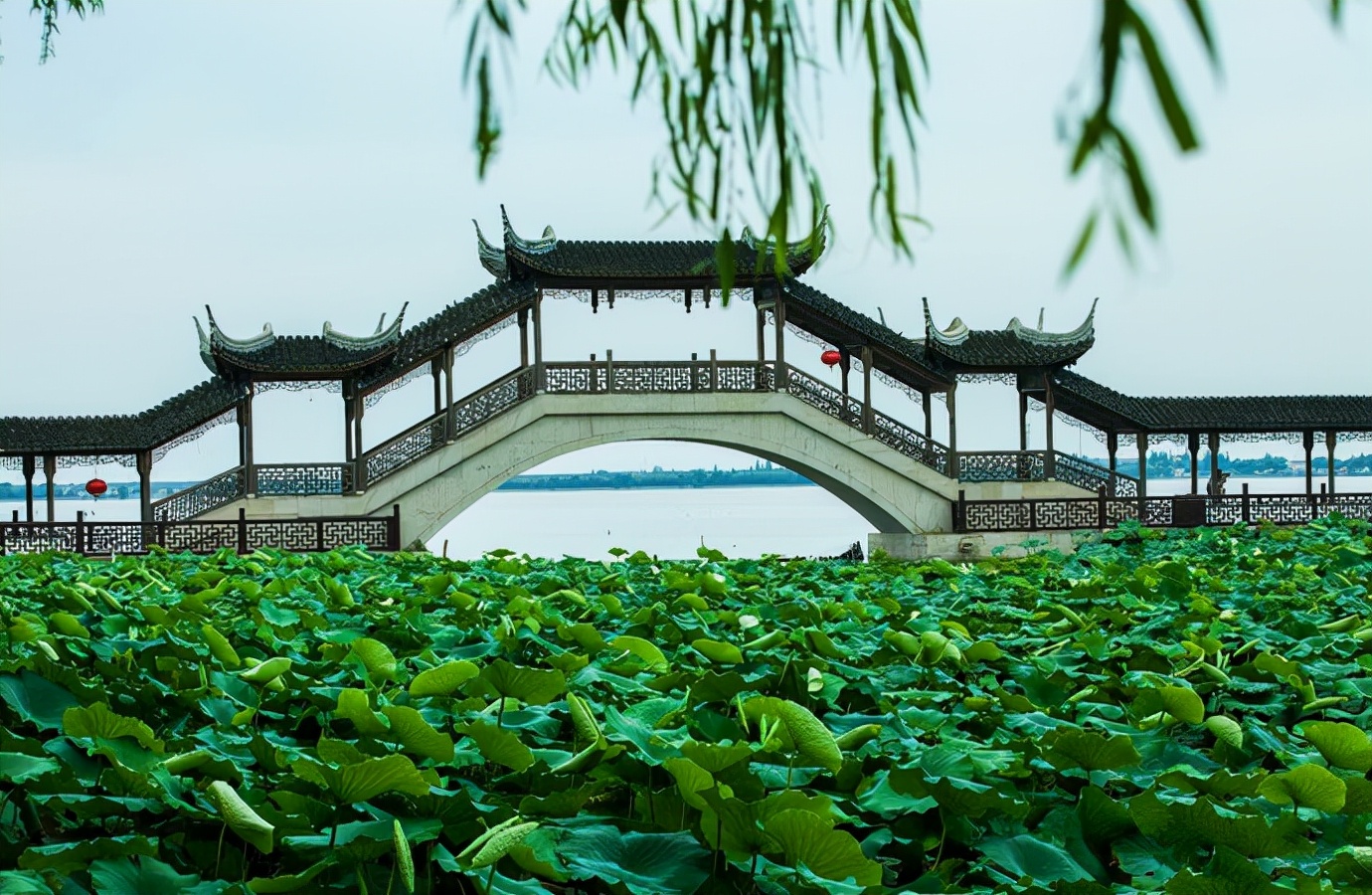 江浙一带最具代表性的三大江南老城，2022年开春旅行就安排起来吧