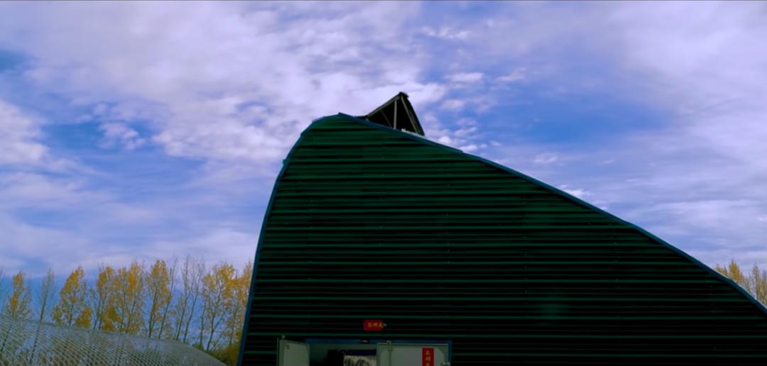 北大毕业后，他去了加拿大种菜：“义无反顾，没有想过再回国”