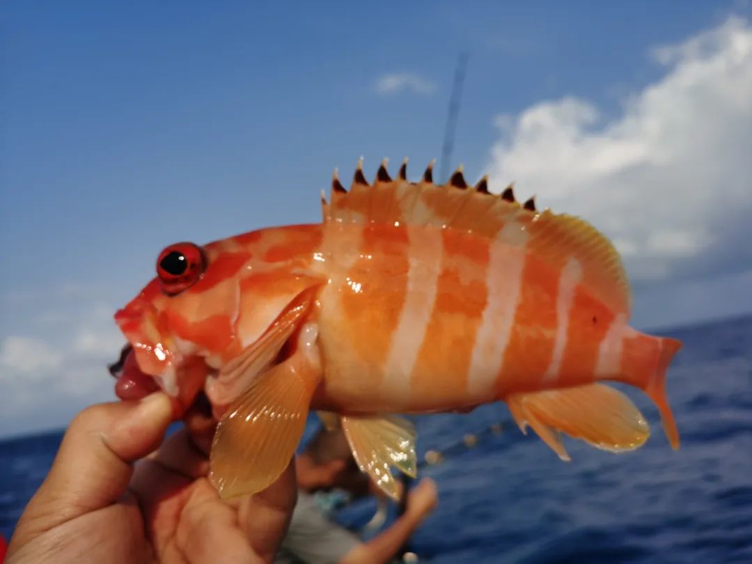 西沙群岛的风景优美的句子_晶羽文学网