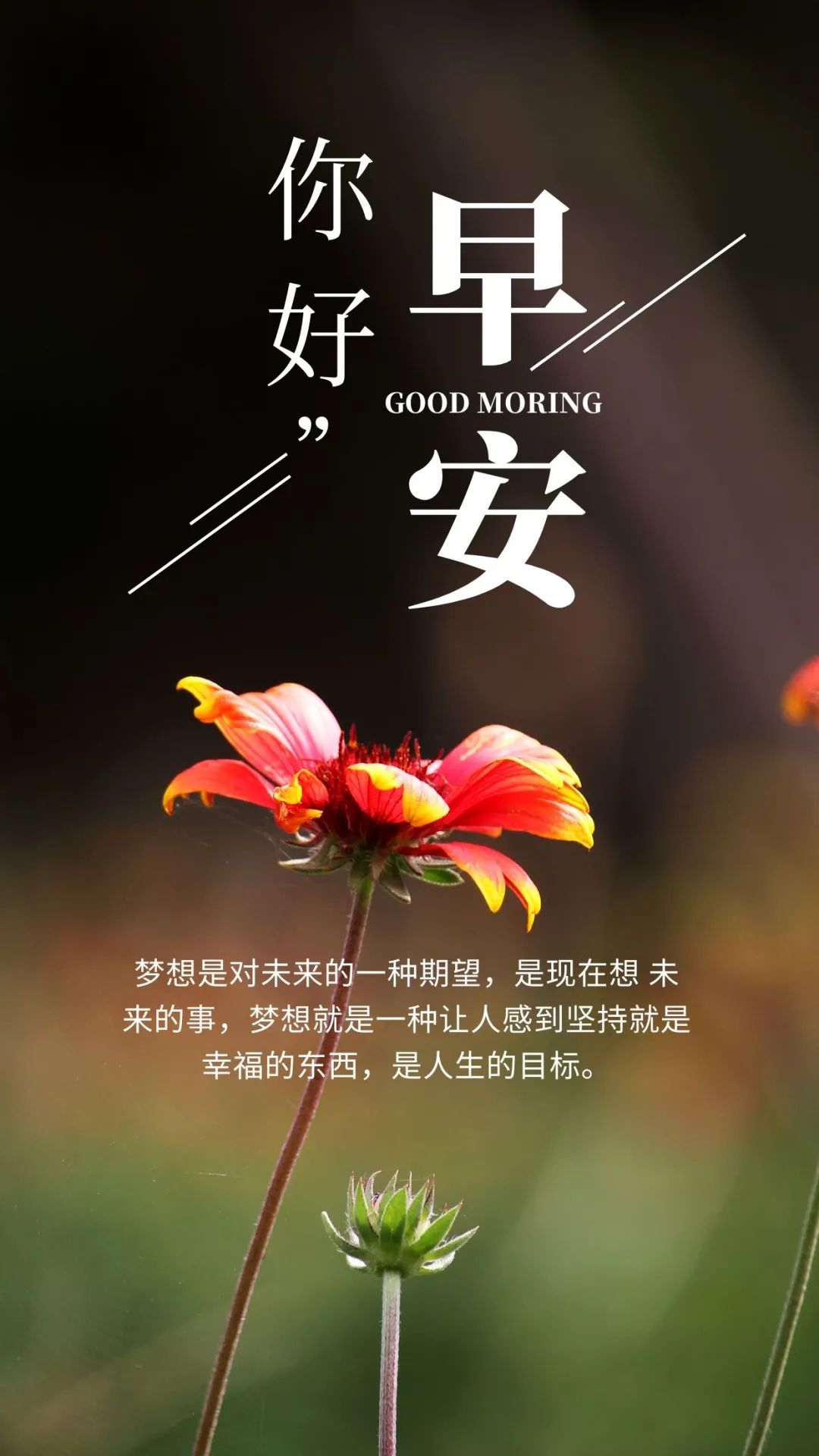 励志的句子致自己简短又唯美