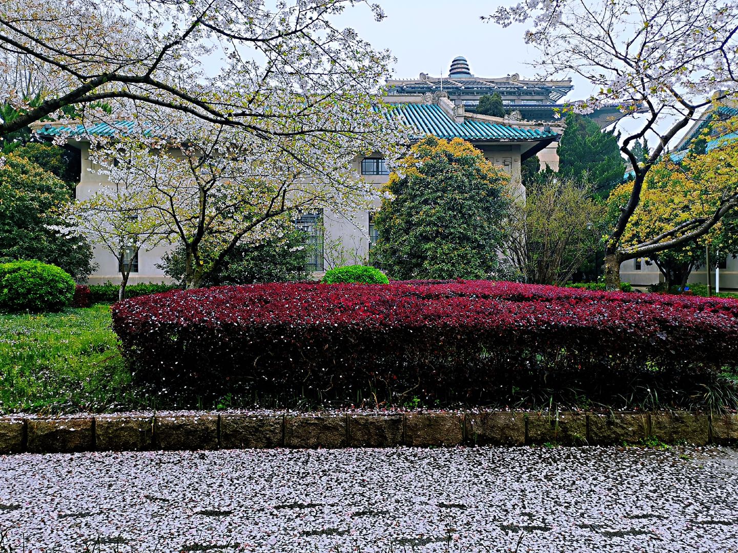 聊聊湖北高校的层次