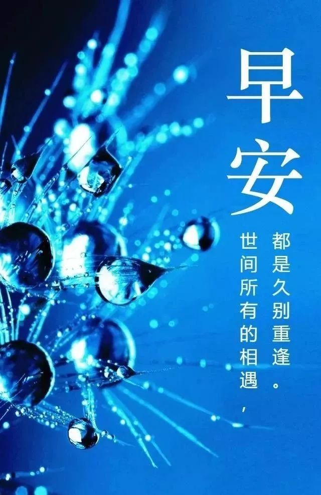 早上好漂亮的表情问候祝福图片 愿美丽的阳光美丽你的心情图片