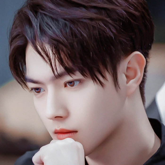 鹿晗、许凯、陈晓等明星的小八卦