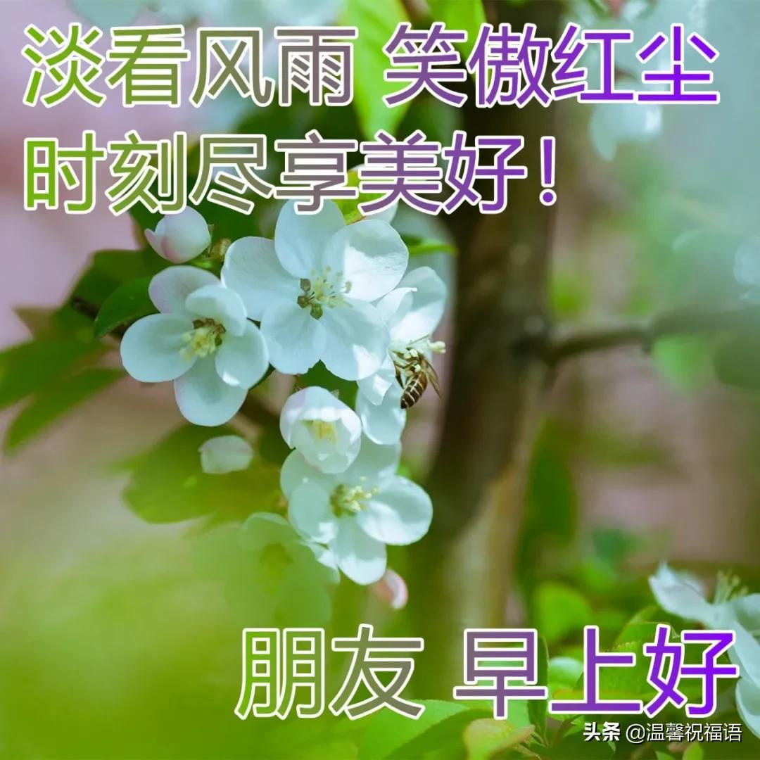 珍惜友情早上好图片 对好朋友的早安祝福图片大全