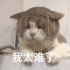 貓咪感到“孤獨”，會有這些表現，真讓人心疼