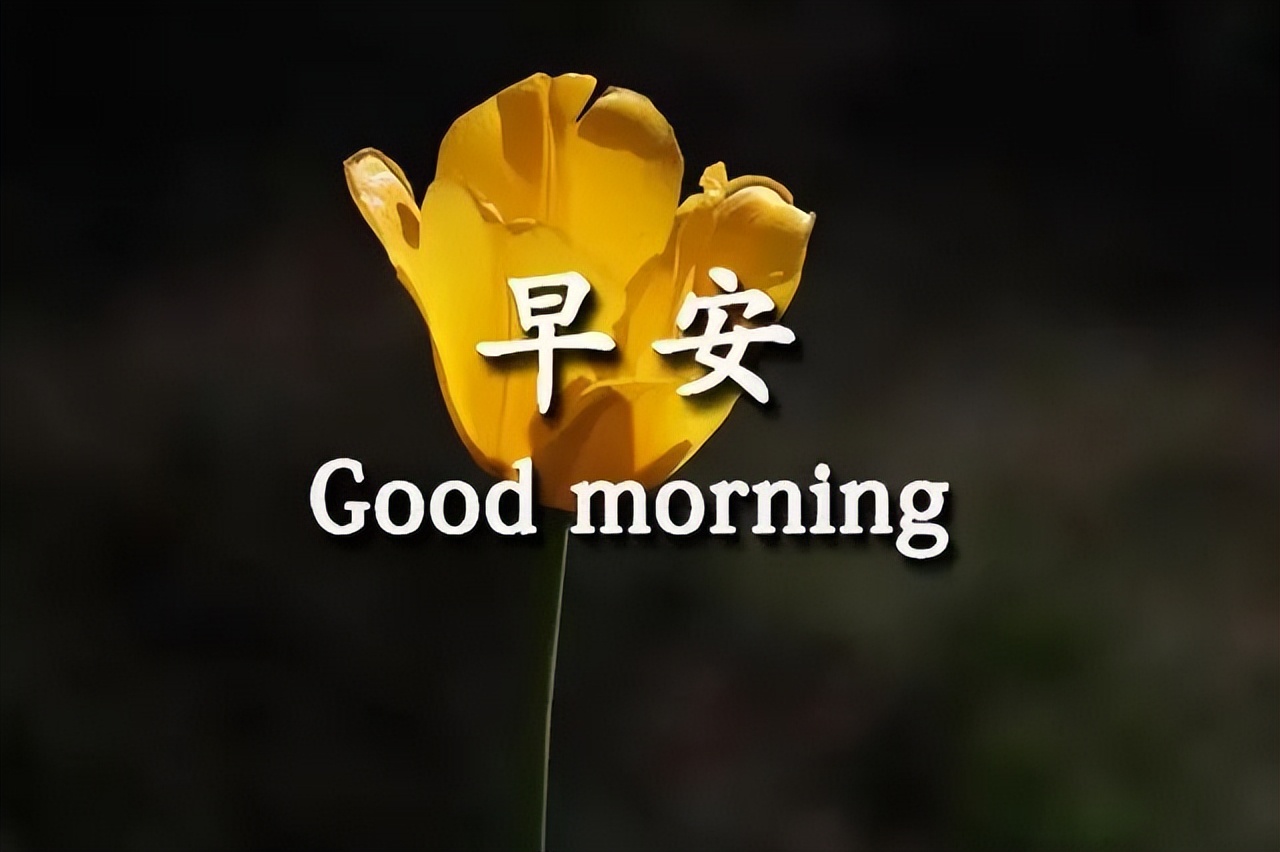 新周早上好祝福语图片大全，愿一个祝福带给你一个新的起点图片