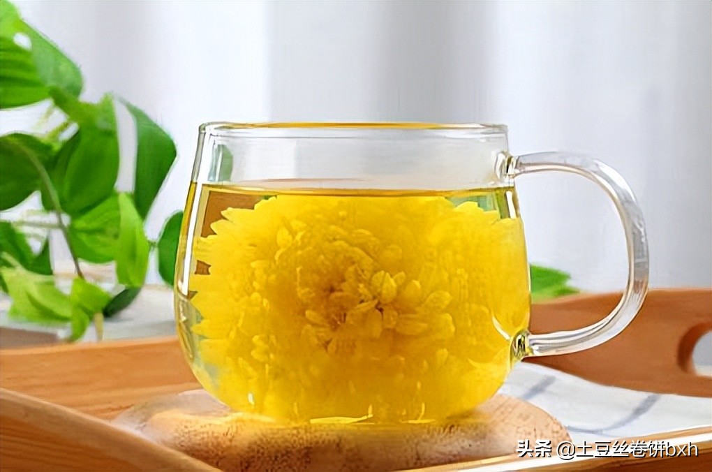 建议中老年人多喝菊花茶(建议中老年人多喝菊花茶的作用)