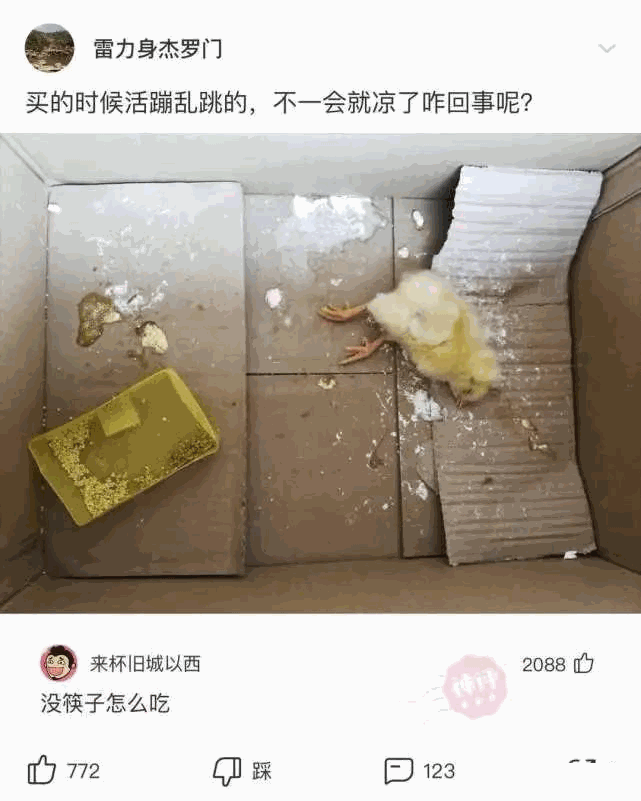 这活是不是有点太憋屈了，这是一边工作一边锻炼吗