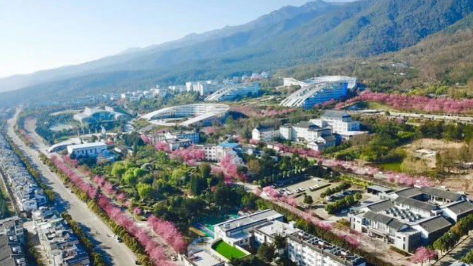 封校也能搞“形式主义”？大理大学同学爆料，原来学校也“双标”