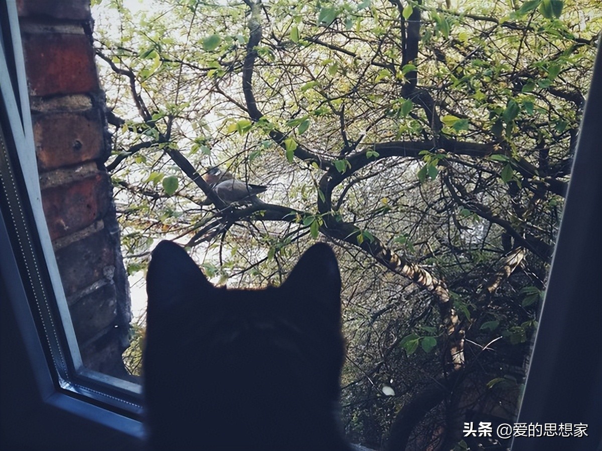 为什么你總觉得沒有人會喜歡你