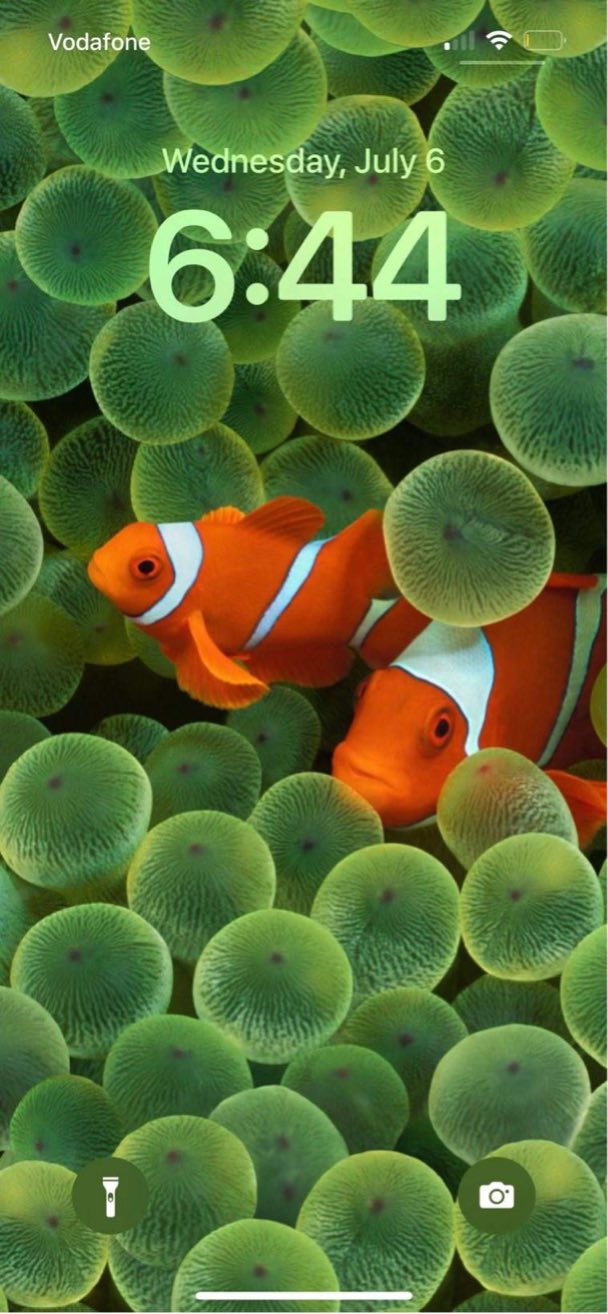 苹果iOS 16 Beta3上线小丑鱼壁纸，乔布斯发布初代iPhone时曾使用