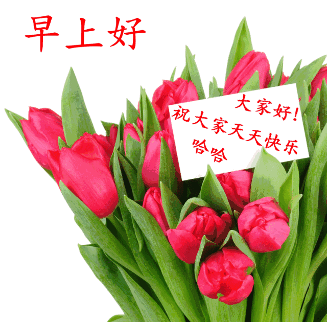 早上好问候祝福动态表情图片甜美周日早安心语动态图片表情图片