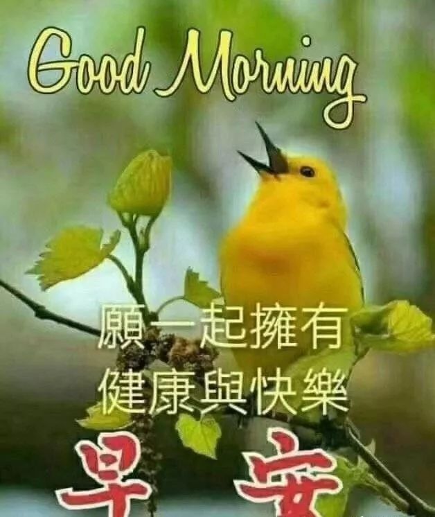 周末早上好美女表情图片，愿你心情芬芳、生活顺畅、幸福无限图片