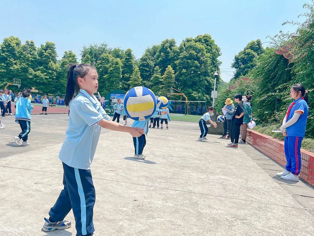 活力金小迎大运 阳光排球伴成长｜金桥小学排球联赛正式拉开帷幕