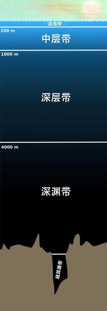 俄渔民发现怪异物种，像缝合怪，专家：鬼鲨！为何深海鱼大都很丑