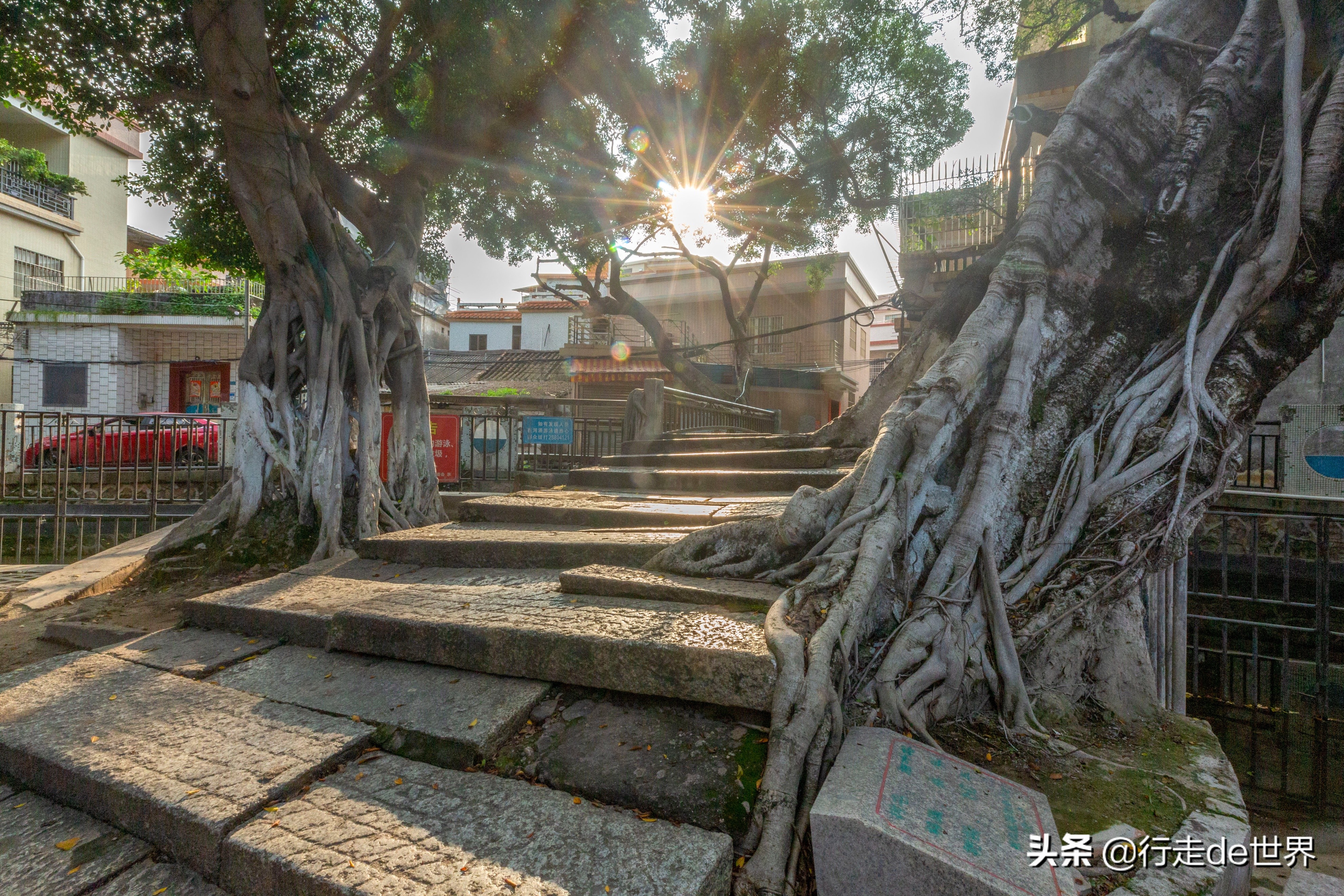 寻味顺德 | 猪头丙，一家性价比超高的农家餐厅