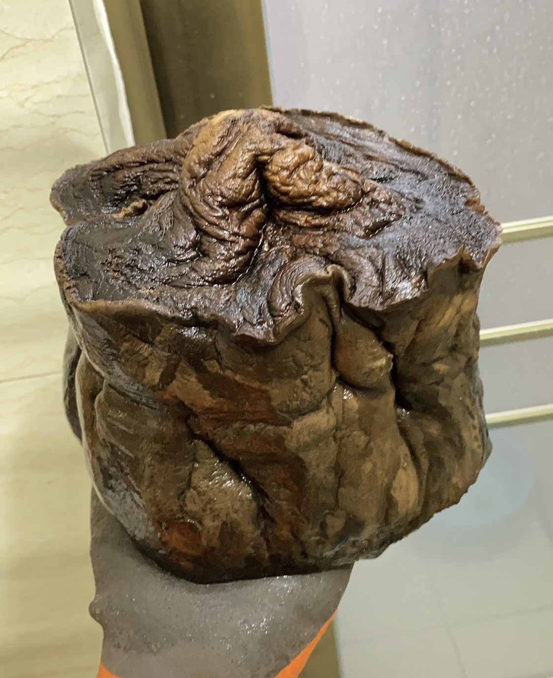 肉灵芝太岁多少钱一斤（太岁多少钱一斤）