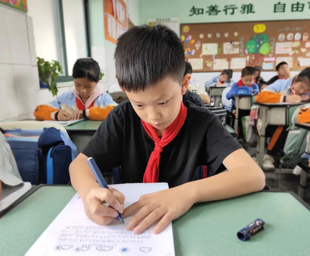 心育未来 静待花开——南湖小学（含北区）心理健康教育工作掠影