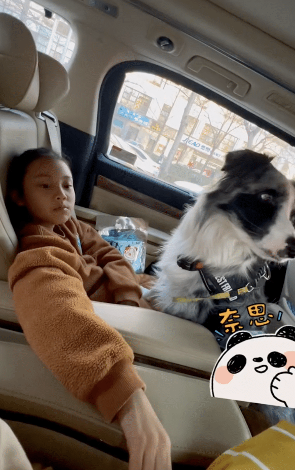 李小璐晒女儿假期生活，甜馨与宠物狗一起卖萌，上小学已经近视