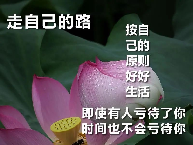 温暖的春天早上好朋友圈祝福语短信大全2022最新 和气能交天下友图片