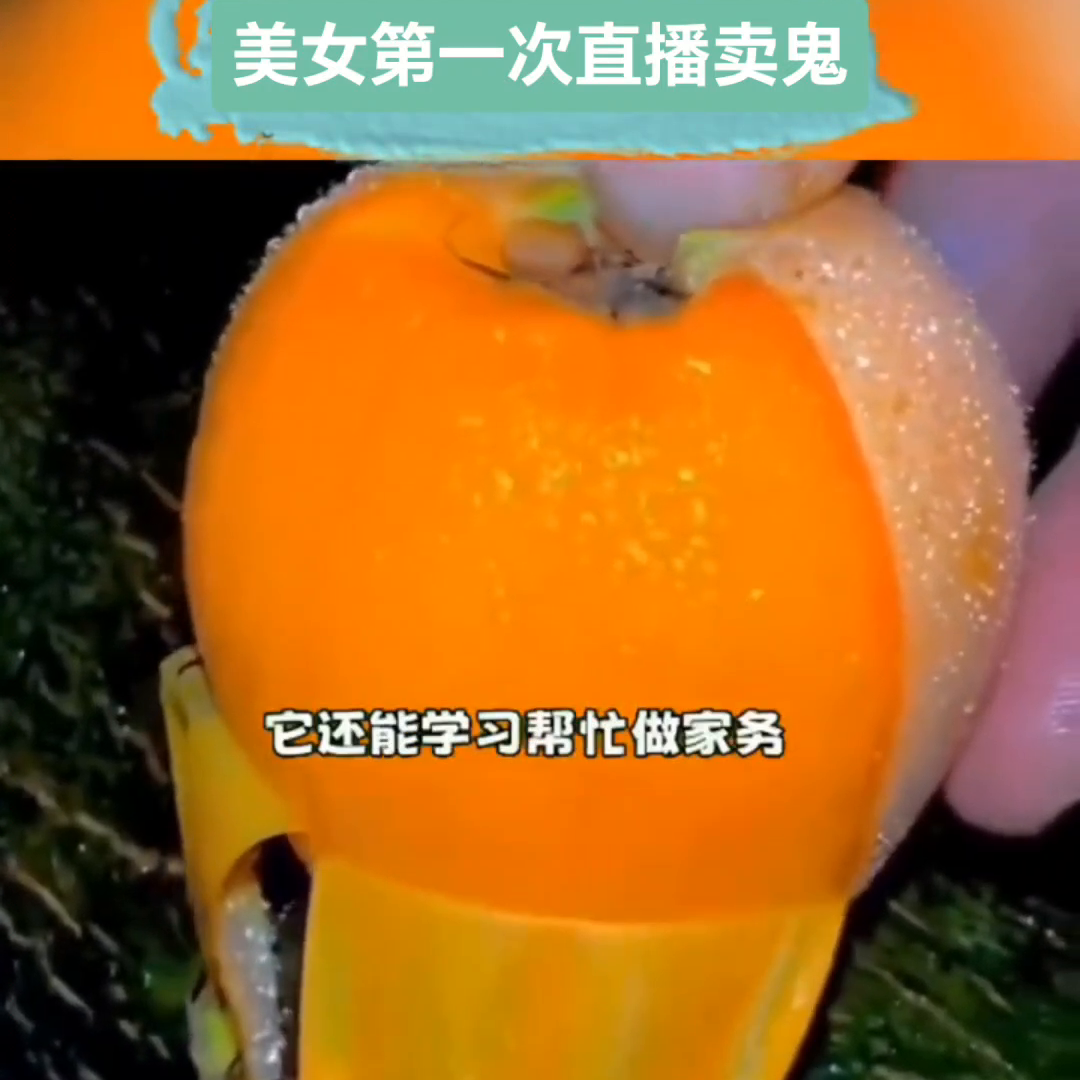 美女第一次直播卖鬼