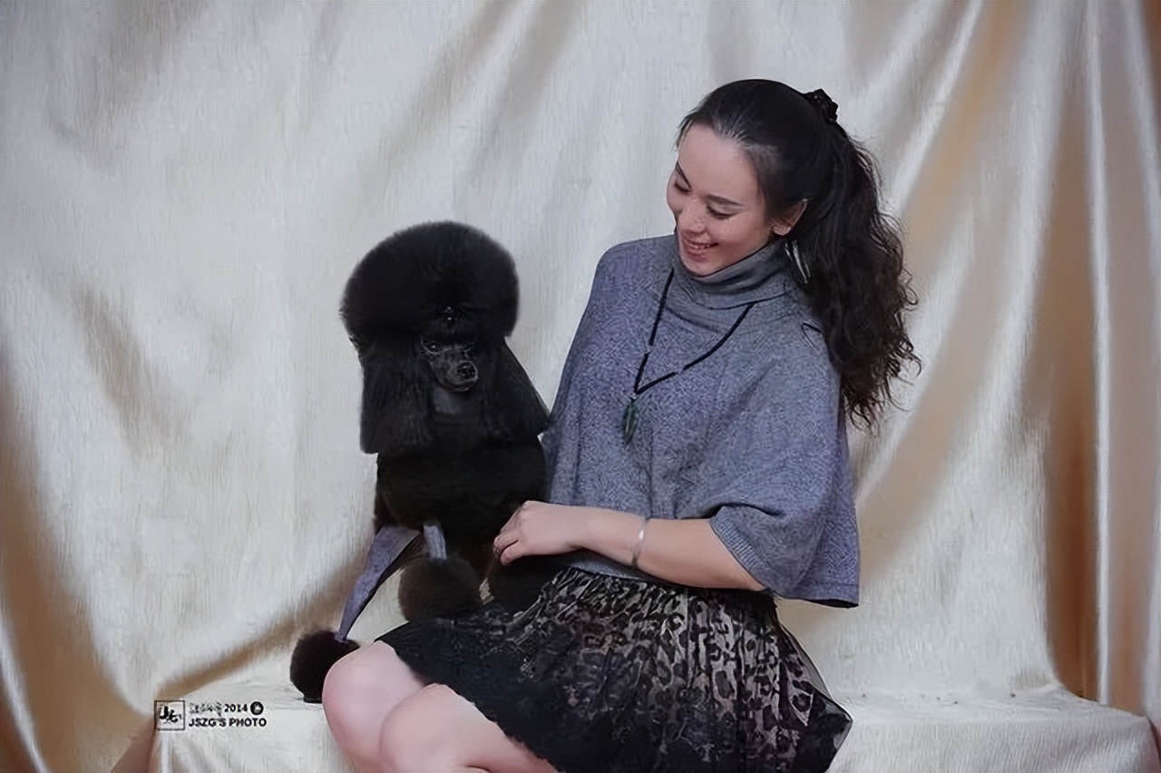 培养数万从业者，经典宠物美容陈佳炜：这是世界上最治愈的工作了