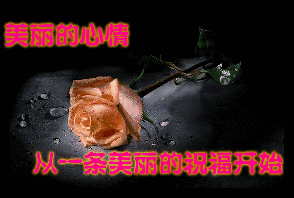 微信早上好说说 清晨走心的早上好问候 健康是人生最大的财富图片