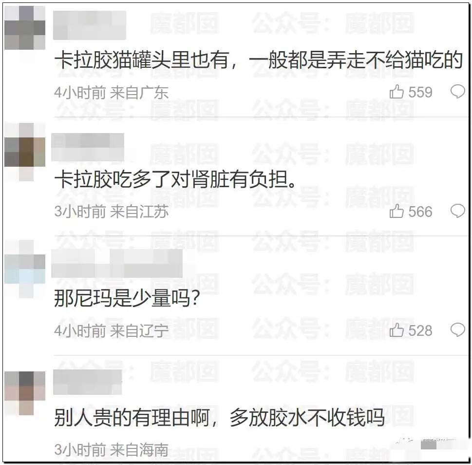 热搜第一！钟薛高雪糕31度室温下放1小时不化引发全网爆议