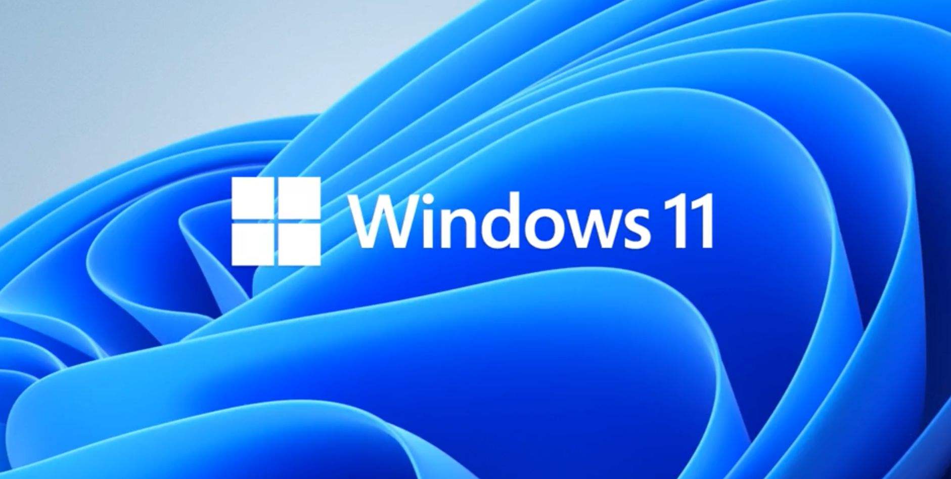 禁止分享Windows漏洞，微软极力反对，他们在怕什么？