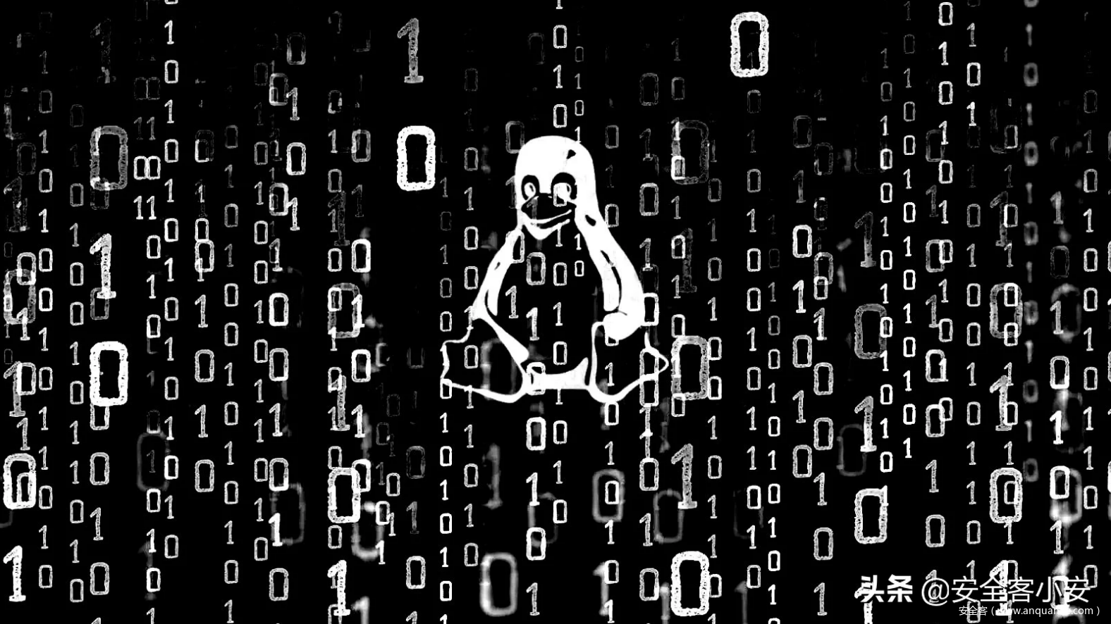 「安全頭條」新的Linux僵尸網絡利用Log4J，使用DNS隧道進行通信