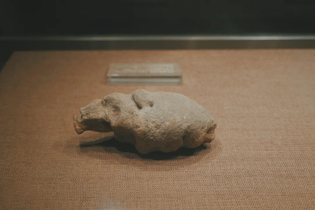 最近超火的盐帮菜之乡让我大开眼界，奇怪的知识又增加了