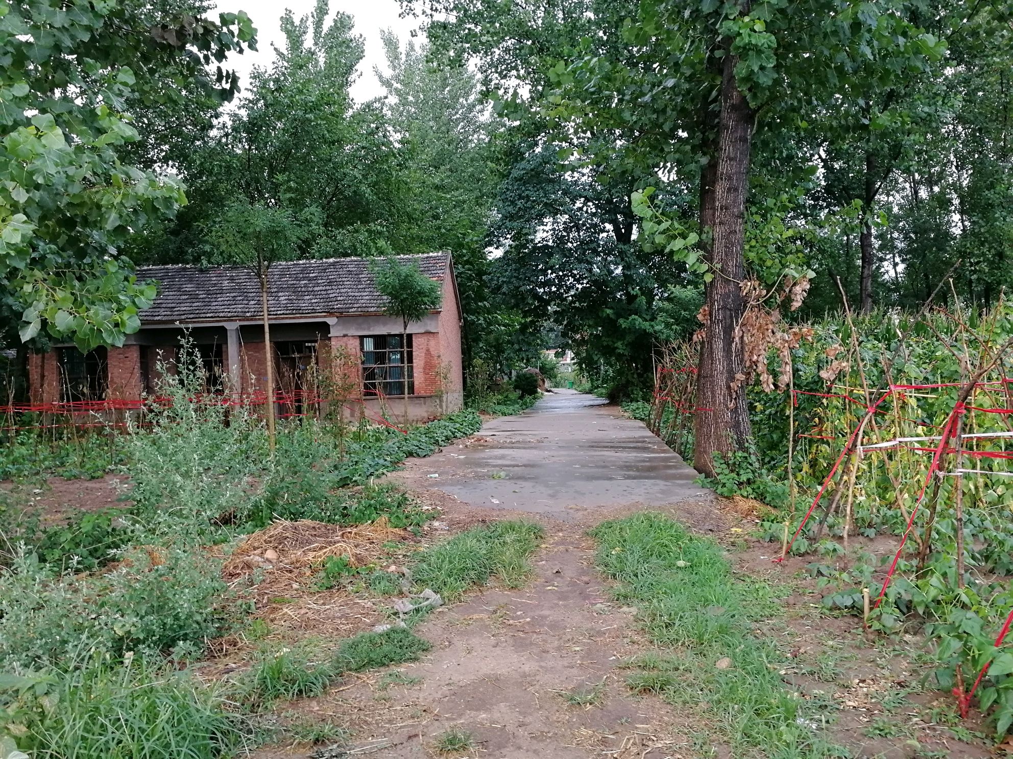 2018年，87岁老人持棍打人反被68岁男子反制致死，法院判决如何？