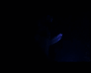 名不符实的“第一美”有多搞笑？有男有女、各有各丑，硬演真尴尬