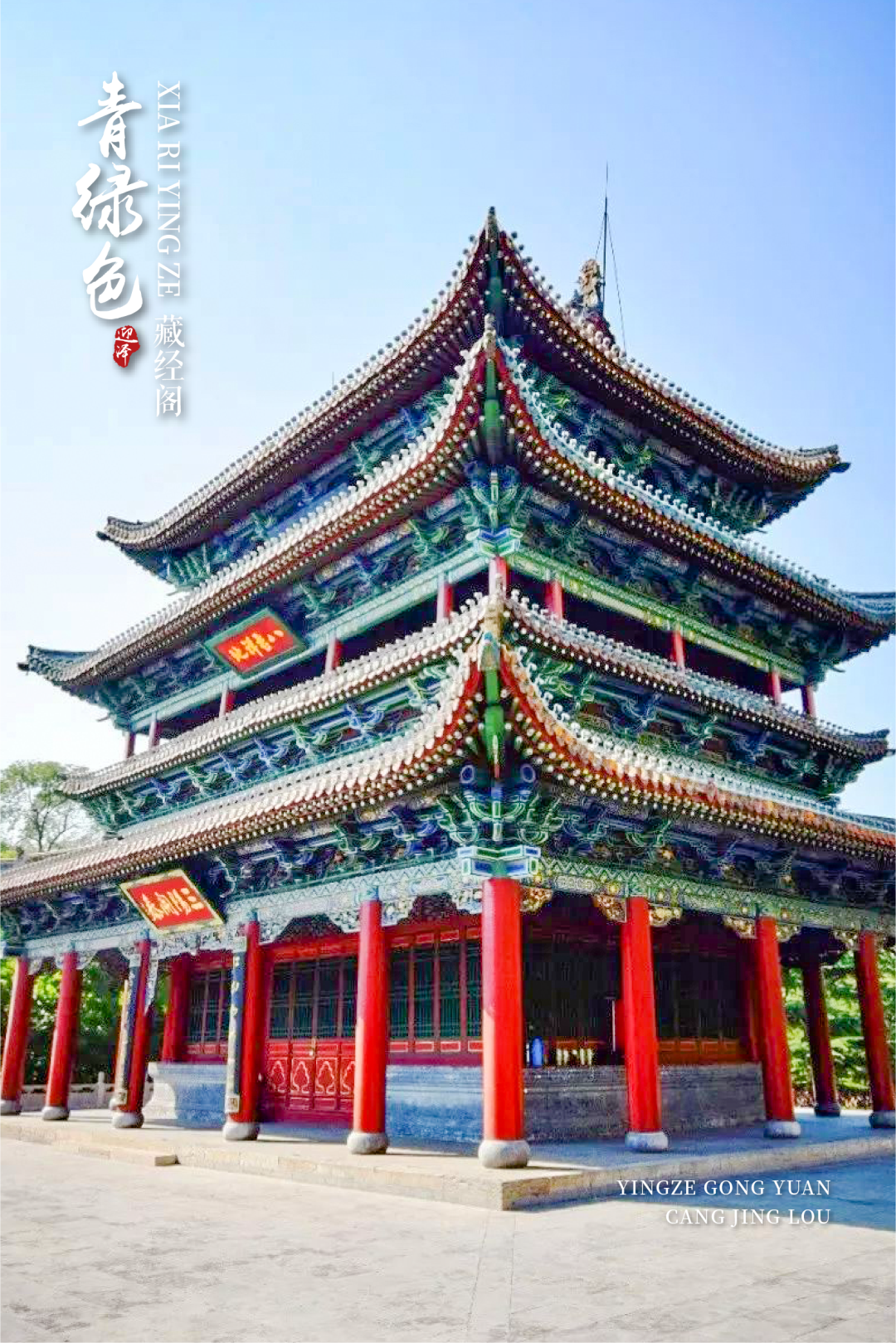 夏日迎泽，行走在无尽绿意中