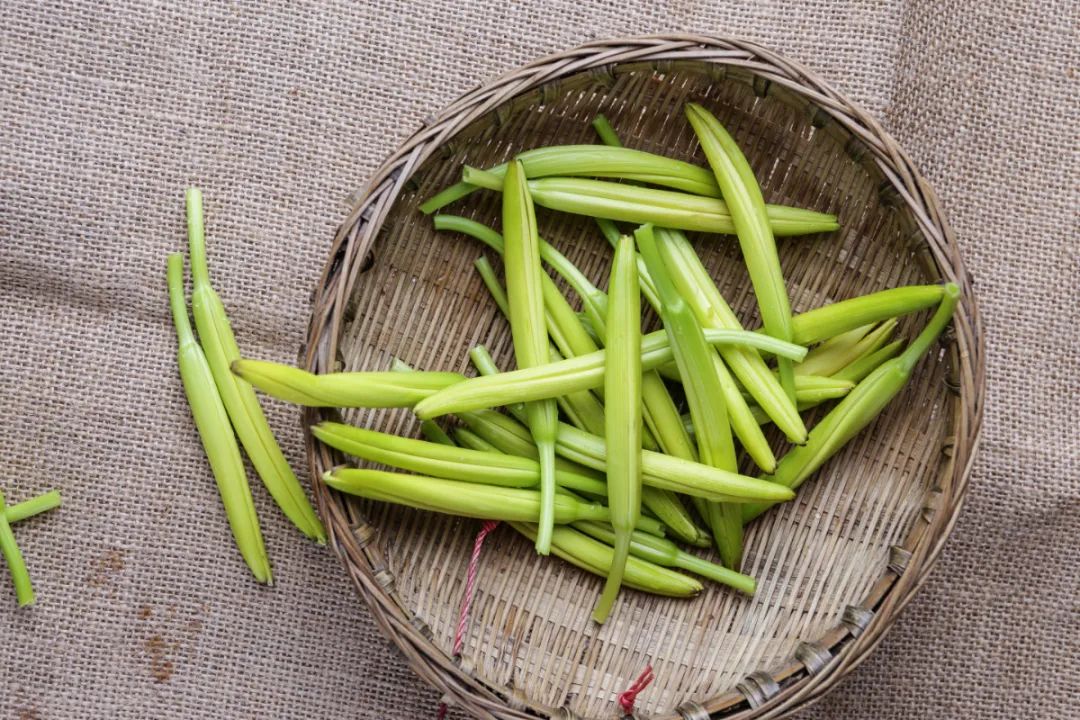 吃這6 種蔬菜要當心！ 蕨菜、魚腥草竟然榜上有名