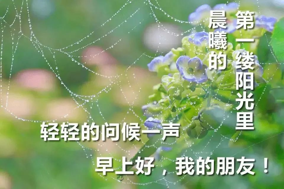 一声问候，虔诚的祈祷只为了你，朋友，早安，愿你幸福