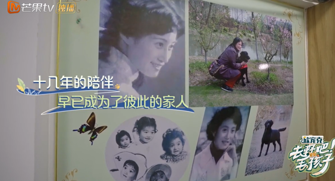 10分钟看哭7次！当他们不再“有用”的时候，却也无法正常生活