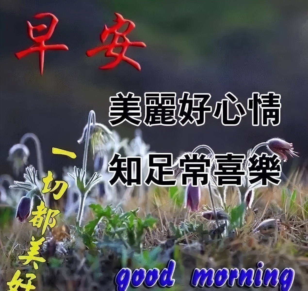 早上好问候语大全 早上好祝福语大全 凡事都平安、事事皆如意图片
