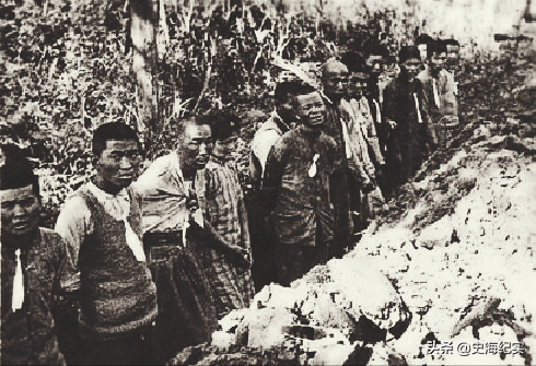 ������ȫ��Ͷ�������𣬴�731���ӵ�������˱�������������ʲô