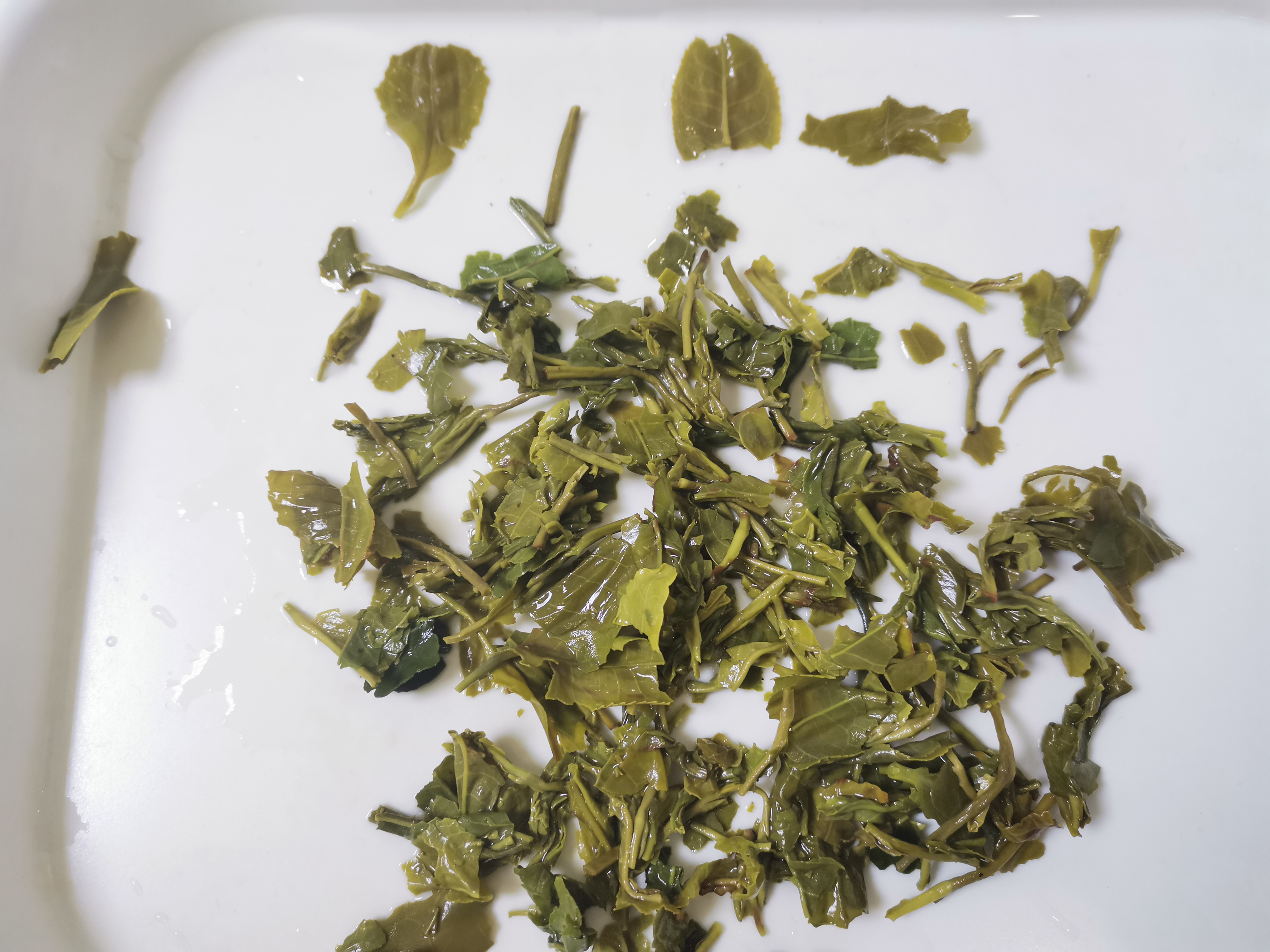 海南白沙绿茶哪个牌子的好?试一款海垦茶业的早春绿茶 - 114货源网