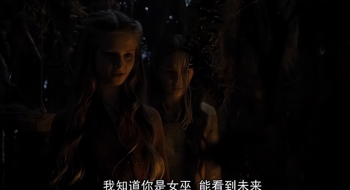 瑟曦才是《权游》的女一号吧，故事都在围绕关于她的三个预言展开