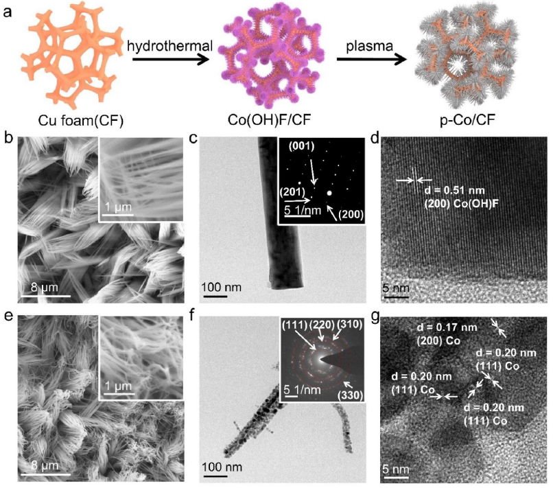 推陈出新！等离子体合成电催化剂，登上影响因子35+期刊