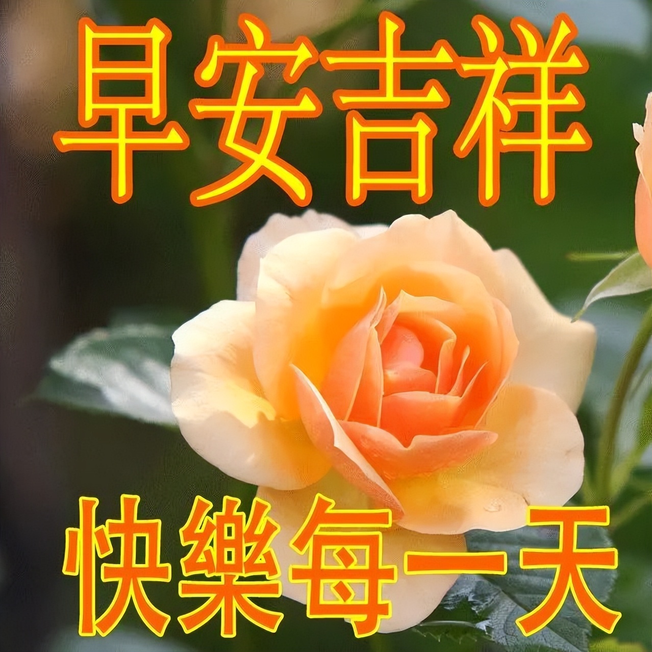 五月清晨送朋友暖心的早上好问候语录 愿你身心自在、增福增慧图片