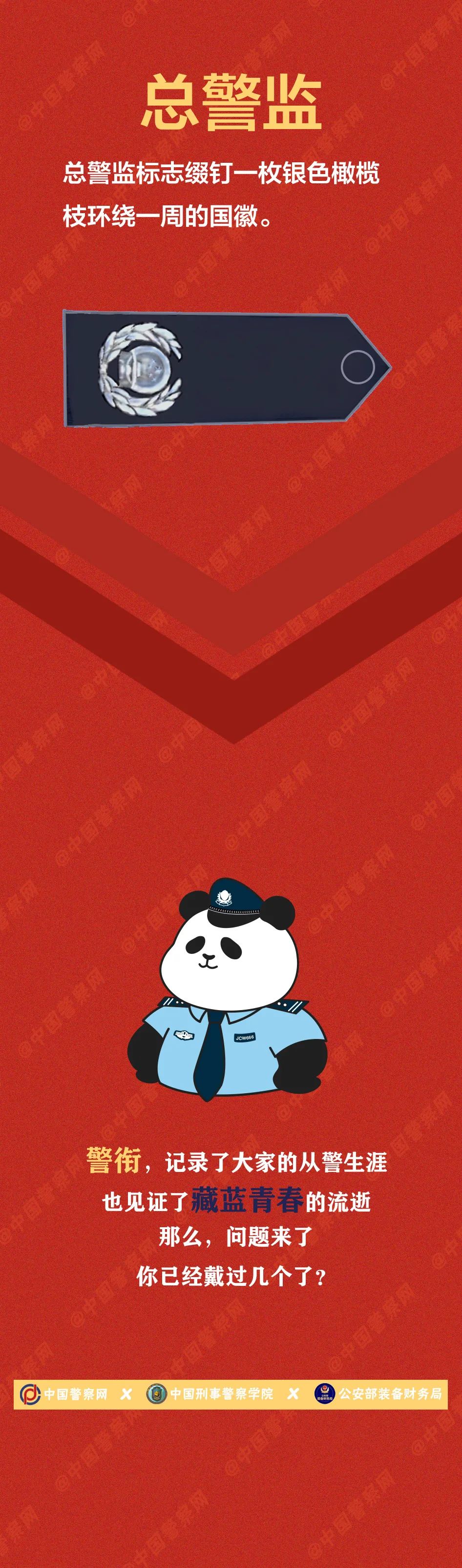 【警察节特刊】这些警衔，你戴到哪个了？